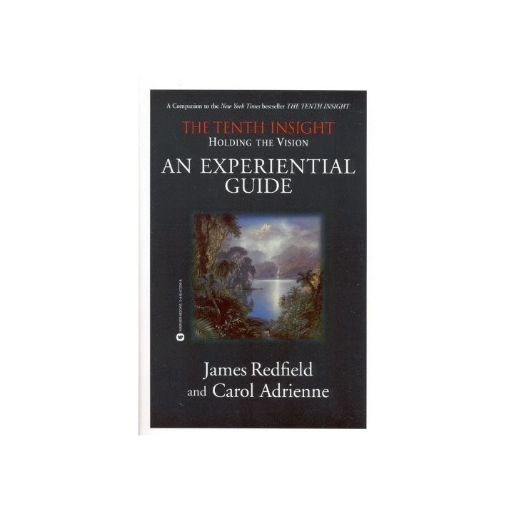 Holding The Vision: An Experiential Guide